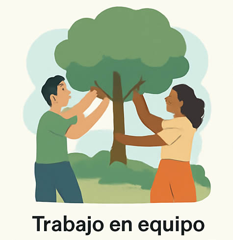 Trabajo en equipo